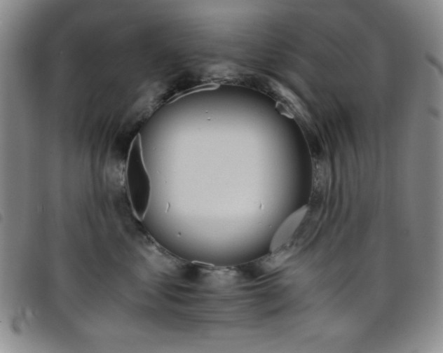 X0000098140621200804241715