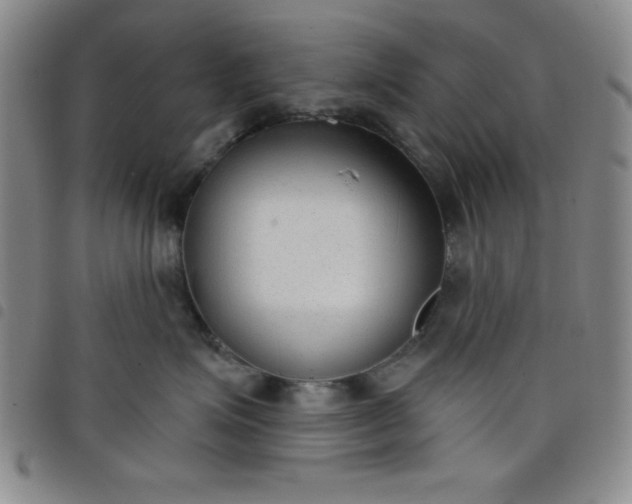 X0000098140623200804241715