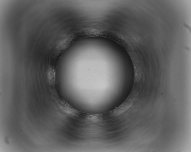 X0000098140624200804241715