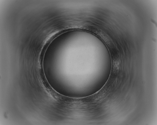X0000098140628200804241715