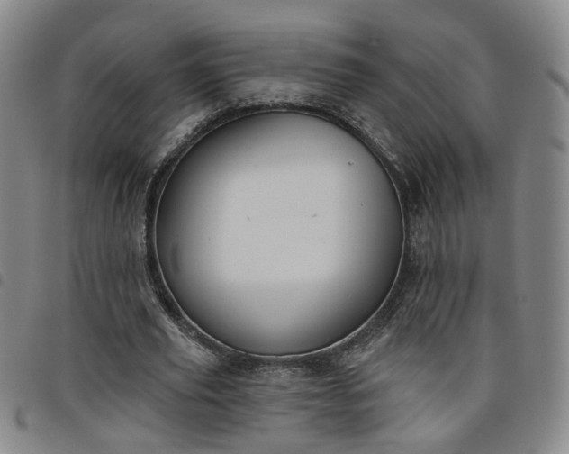 X0000098140629200804241715