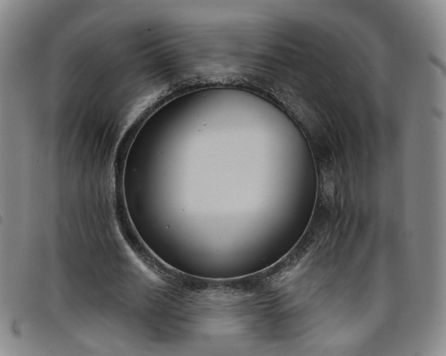 X0000098140630200804241715