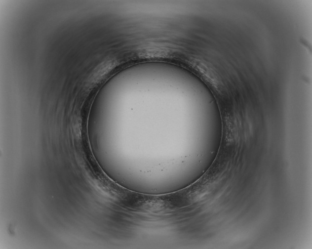 X0000098140631200804241715