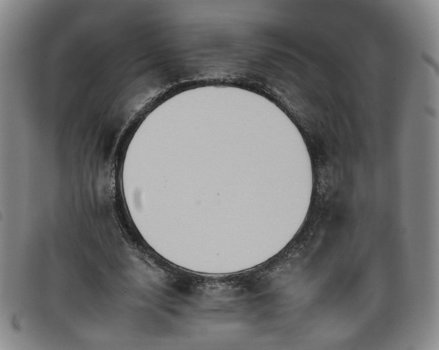 X0000098140632200804241715