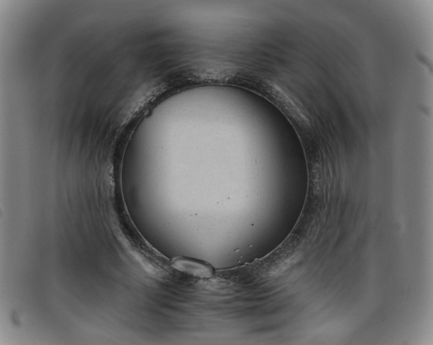 X0000098140634200804241715