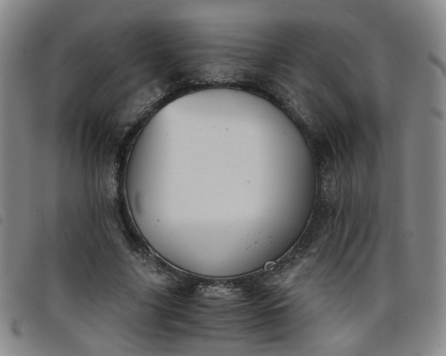 X0000098140635200804241715