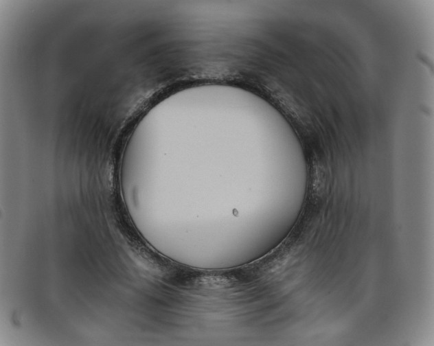 X0000098140636200804241715