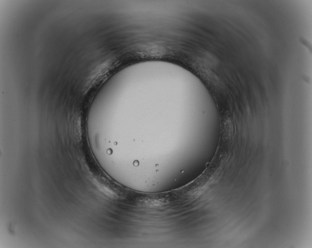 X0000098140638200804241715