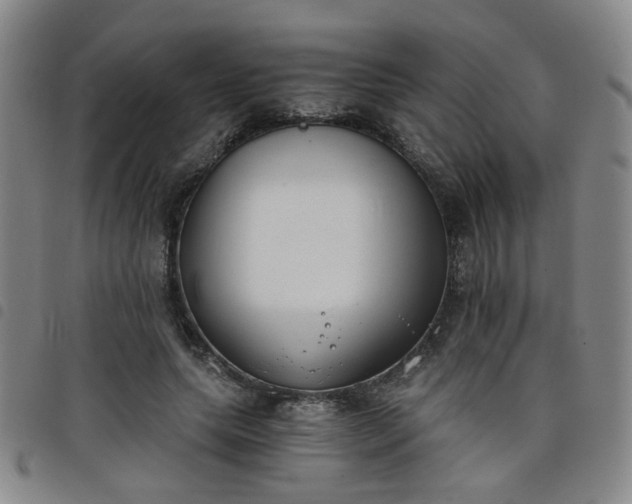 X0000098140639200804241715