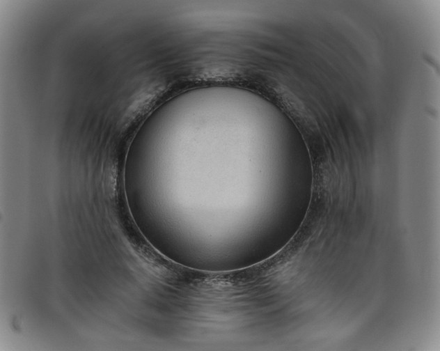 X0000098140640200804241715