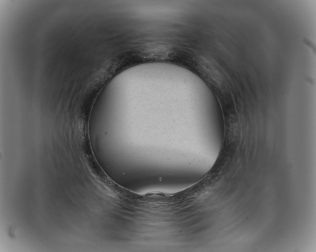 X0000098140641200804241715