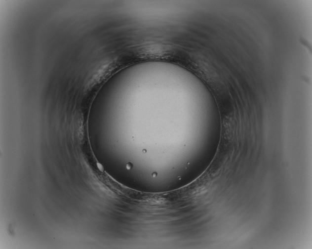 X0000098140642200804241715