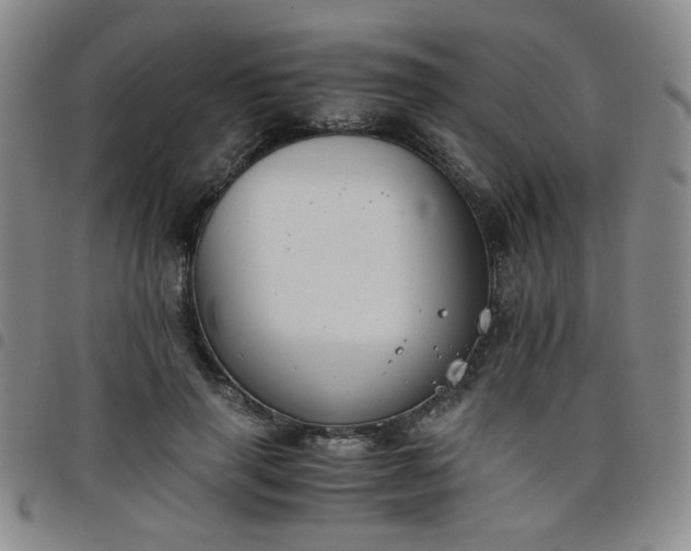 X0000098140645200804241715
