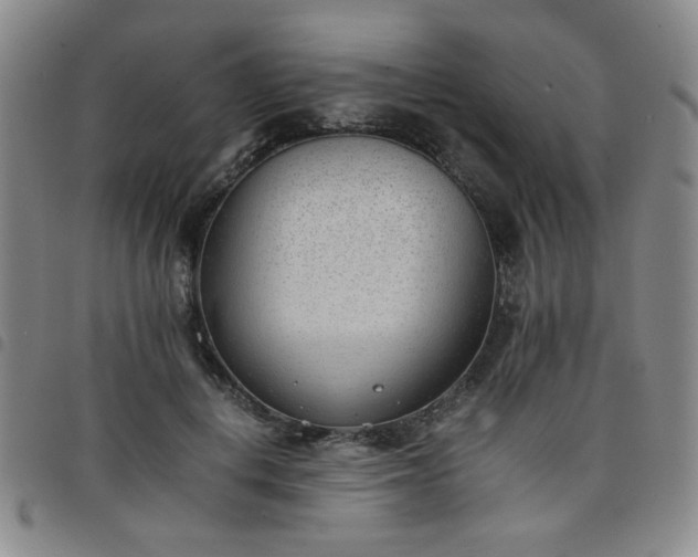 X0000098140648200804241715