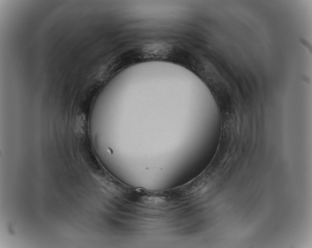 X0000098140649200804241715
