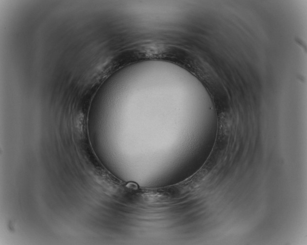 X0000098140650200804241715