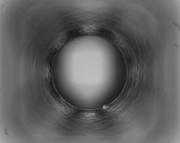 X0000098140651200804241715