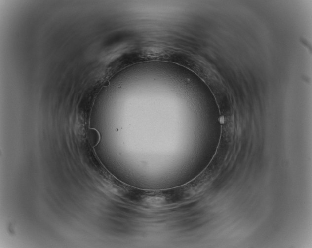 X0000098140653200804241715