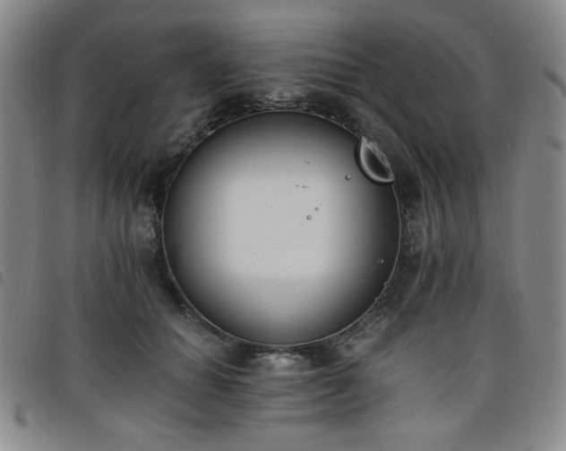 X0000098140654200804241715