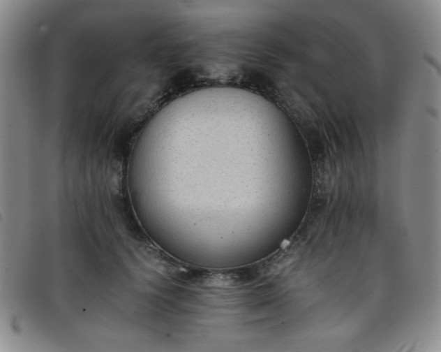 X0000098140656200804241715