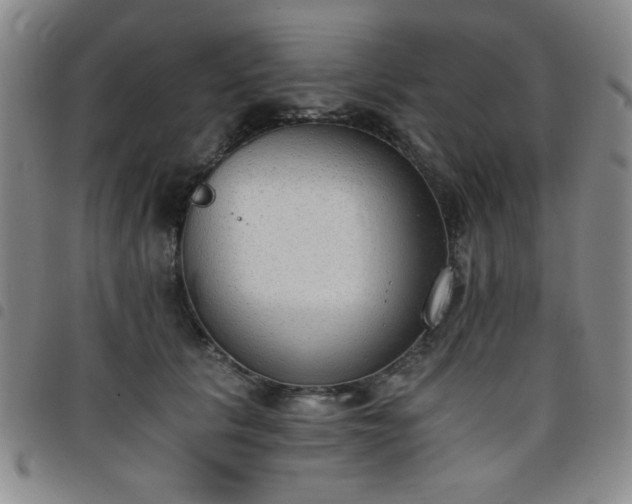 X0000098140657200804241715