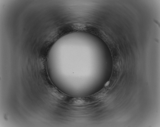 X0000098140658200804241715