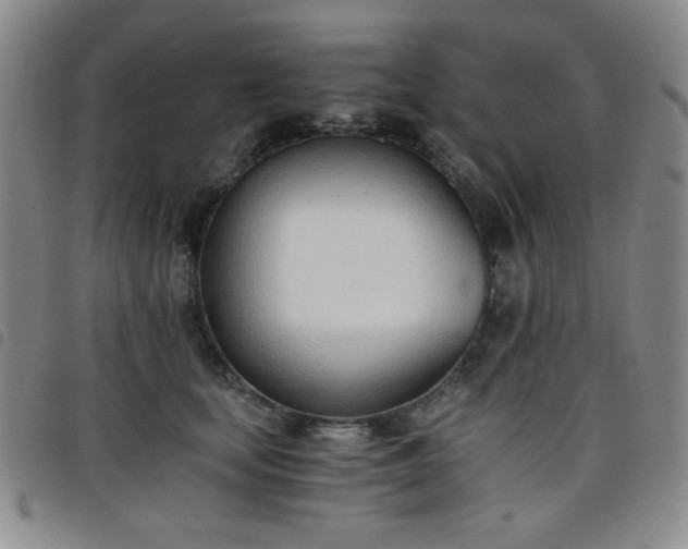 X0000098140659200804241715