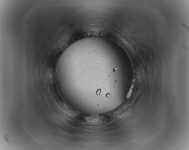 X0000098140661200804241715