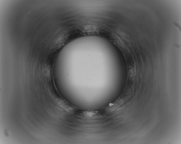 X0000098140662200804241715