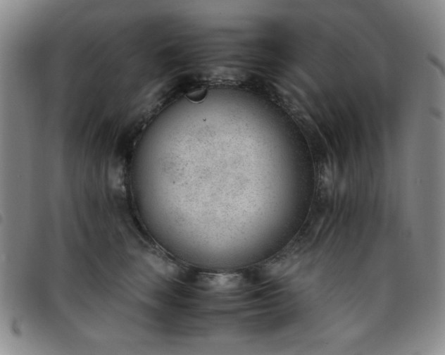 X0000098140663200804241715