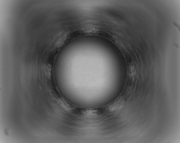 X0000098140664200804241715