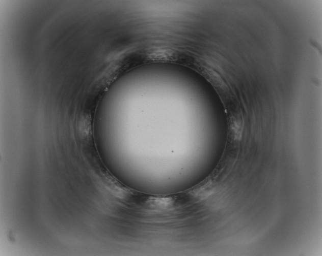 X0000098140665200804241715