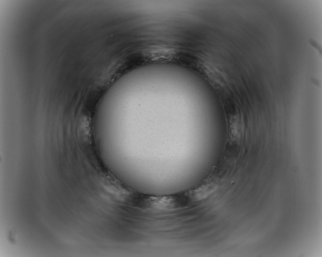 X0000098140667200804241715