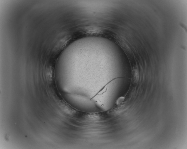 X0000098140668200804241715