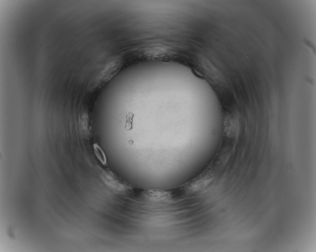 X0000098140670200804241715