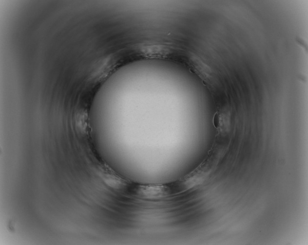 X0000098140671200804241715