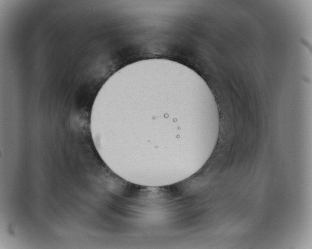 X0000098140672200804241715