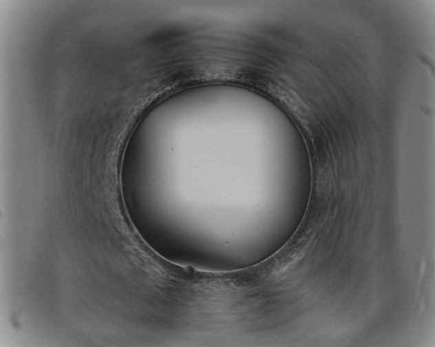 X0000098140673200804241715