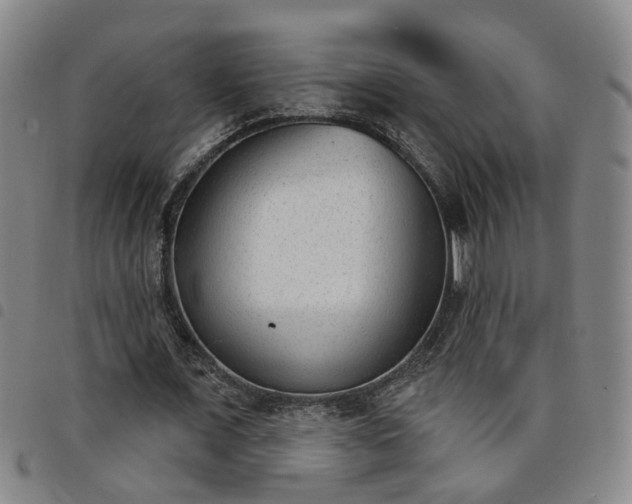 X0000098140675200804241715
