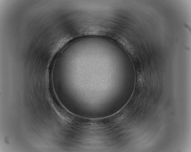 X0000098140678200804241715