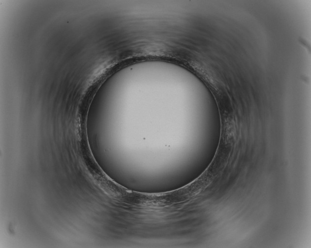 X0000098140680200804241715