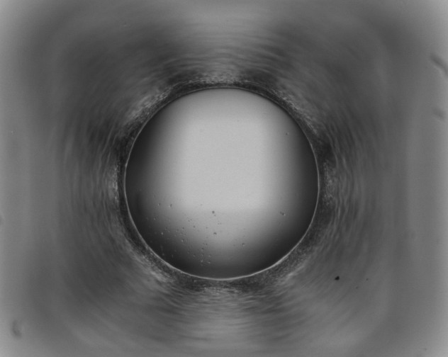 X0000098140681200804241715