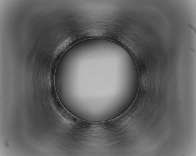 X0000098140682200804241715
