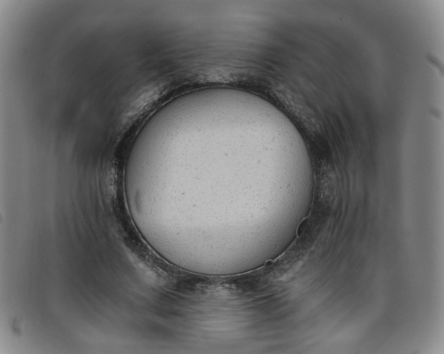 X0000098140683200804241715