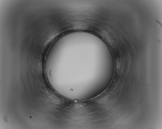 X0000098140684200804241714