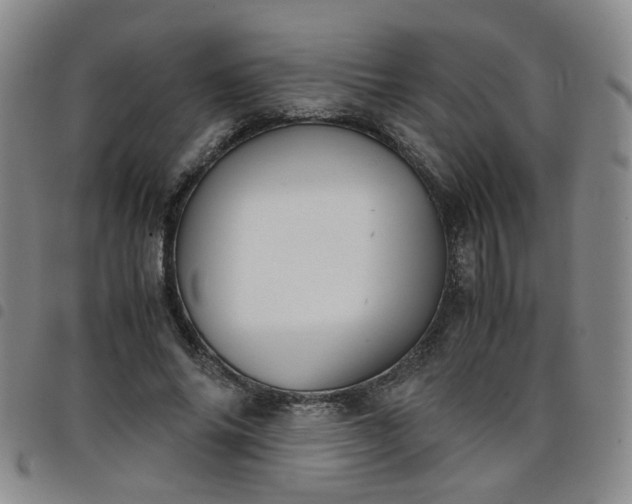 X0000098140686200804241714
