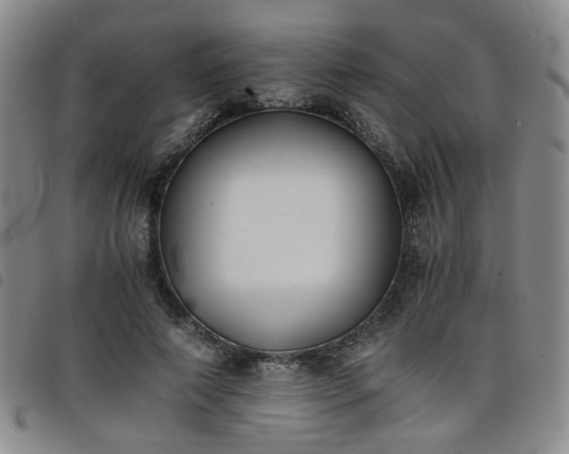X0000098140690200804241714