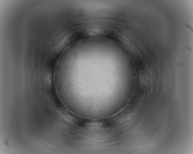 X0000098140691200804241714
