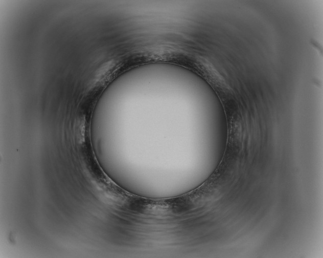 X0000098140694200804241714