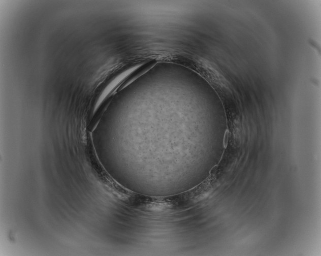 X0000098140696200804241714